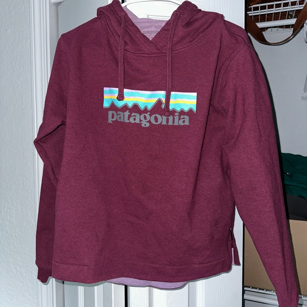 Patagonia hoodie